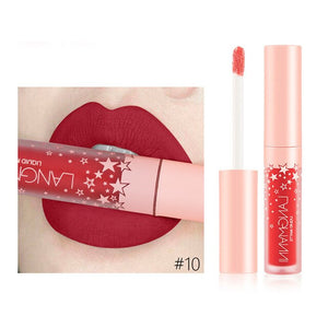 2019 Beaty meakup Fashion Lipstick Cosmetics Women Sexy Waterproof Lips Matte Lasting Lip Gloss  labial de mod 0.6